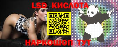 ПСИЛОЦИБИНОВЫЕ ГРИБЫ Славянск-на-Кубани