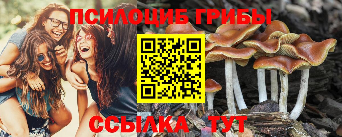 Галлюциногенные грибы мицелий Чернушка